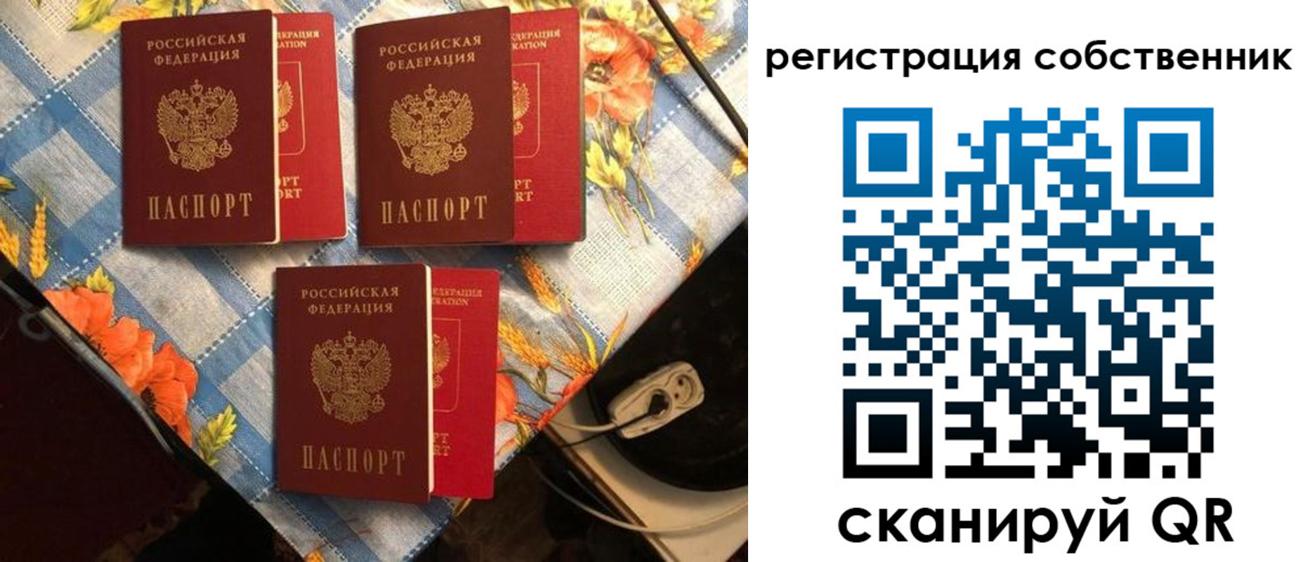 прописка в Коле